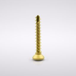 Titanium Micro Screws, Ø 1.3, Yellow anodized (5 units) 