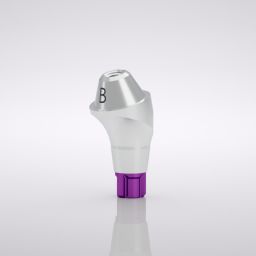 CONELOG® Multi-unit abutment, 17° angled, type B, sterile 