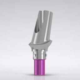 CAMLOG® Esthomic® Abutment PS, angled 15°, type A 