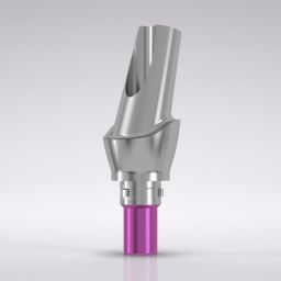 CAMLOG® Esthomic® Abutment, 15° angled, type A 