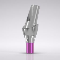 CAMLOG® Esthomic® Abutment, 20° angled, type A 