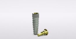 Tapered Internal Implant, RBT, Laser-Lok®, mountless Abutment 