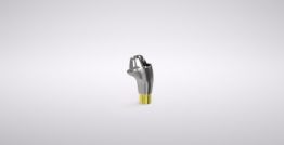Conical Multi-unit 17° Angled Abutment 