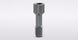 Internal Abutment Screw 