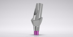 CONELOG® Esthomic® Abutments 15° angled, type B 