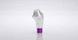 CONELOG® Multi-unit abutment, 17° angled, type B, sterile 