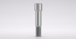 CAMLOG® Abutment screw, hex 