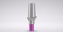 CAMLOG® Esthomic® Abutment PS, straight 