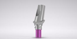 CAMLOG® Esthomic® Abutment PS, angled 15°, type B 