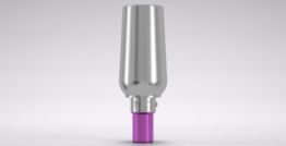 CAMLOG® Universal abutment 