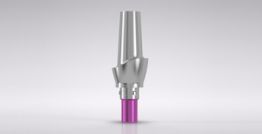 CAMLOG® Esthomic® Abutment, straight 